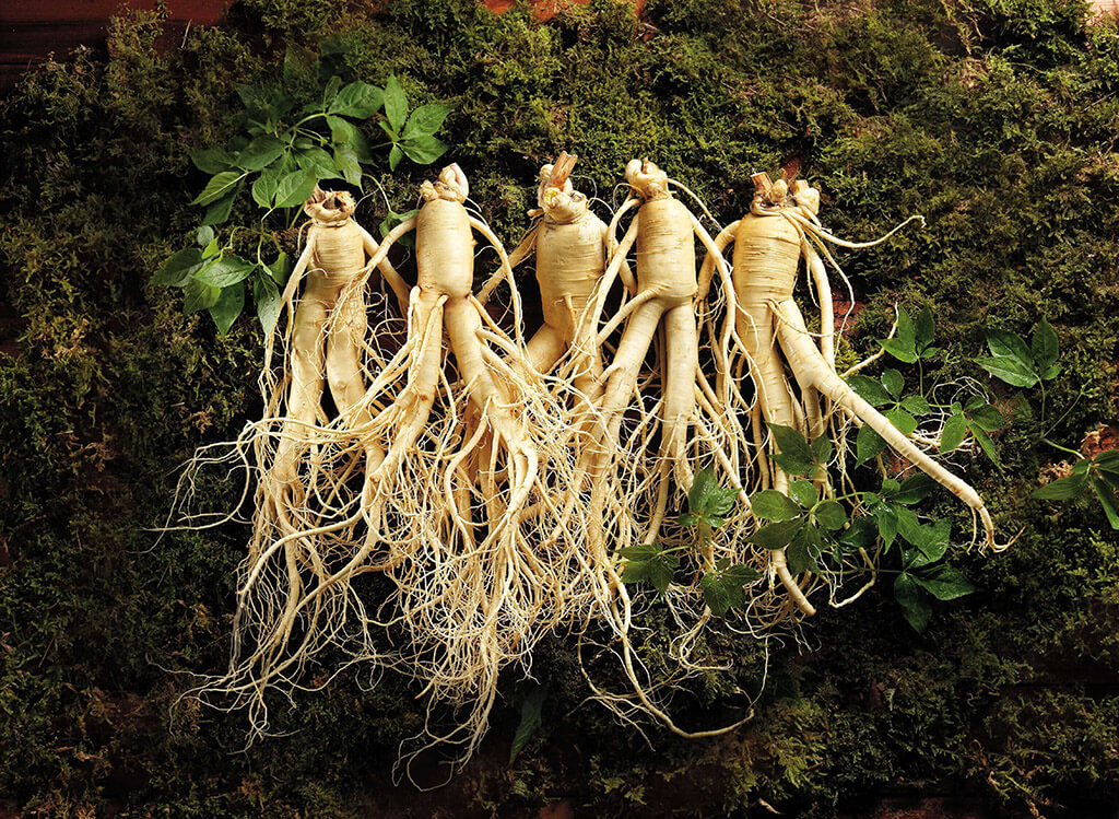 Természetes megoldások a stressz ellen – Az adaptogének világa