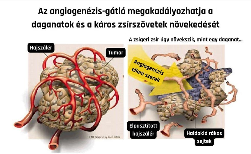 Ob-X  - Koreai Testzsír százalék csökkentő tabletta 60db