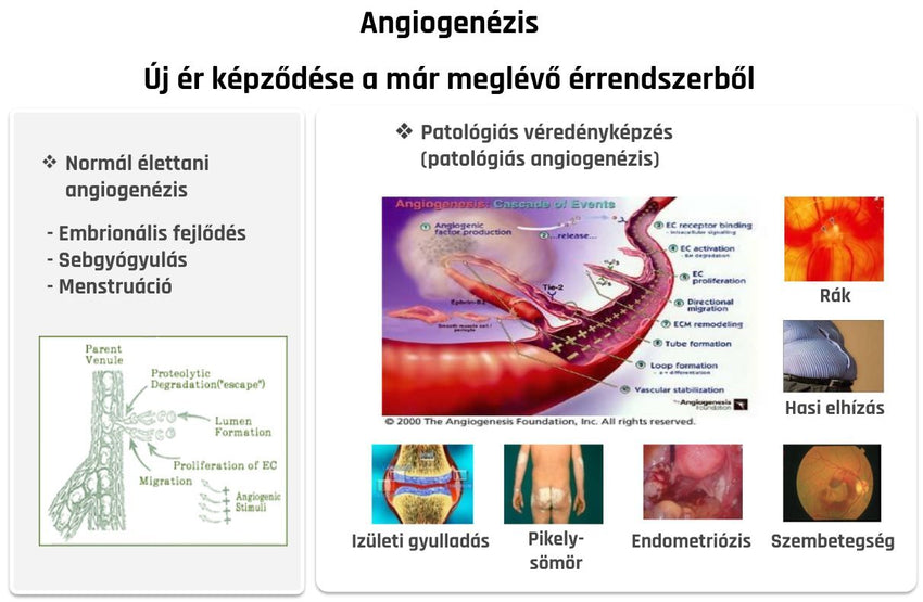 Ob-X  - Koreai Testzsír százalék csökkentő tabletta 60db