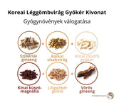 Koreai Léggömbvirág Gyökér Kivonat Gyógyövények