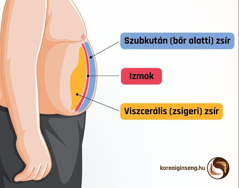 Ob-X  - Koreai Testzsír százalék csökkentő tabletta 60db